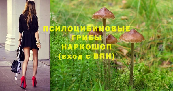 2c-b Семилуки